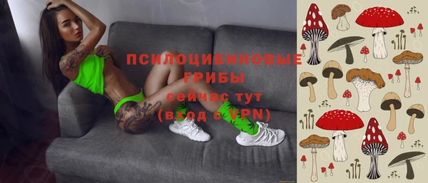дурь Белоозёрский