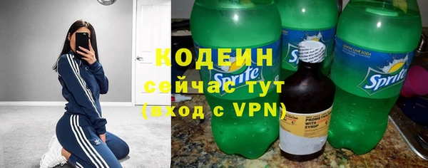 дживик Белокуриха
