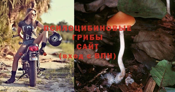 марихуана Беломорск