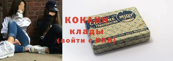 дживик Белокуриха