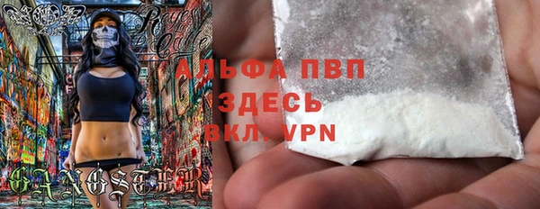 дживик Белокуриха
