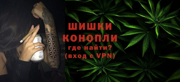 дживик Белокуриха