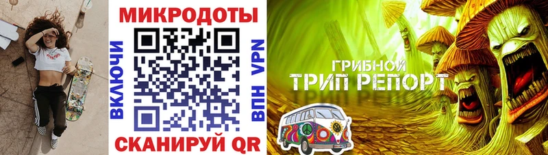 нарко площадка формула Рязань Галлюциногенные грибы прущие грибы